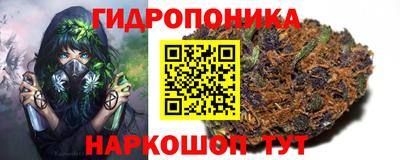 mdpv Камышлов