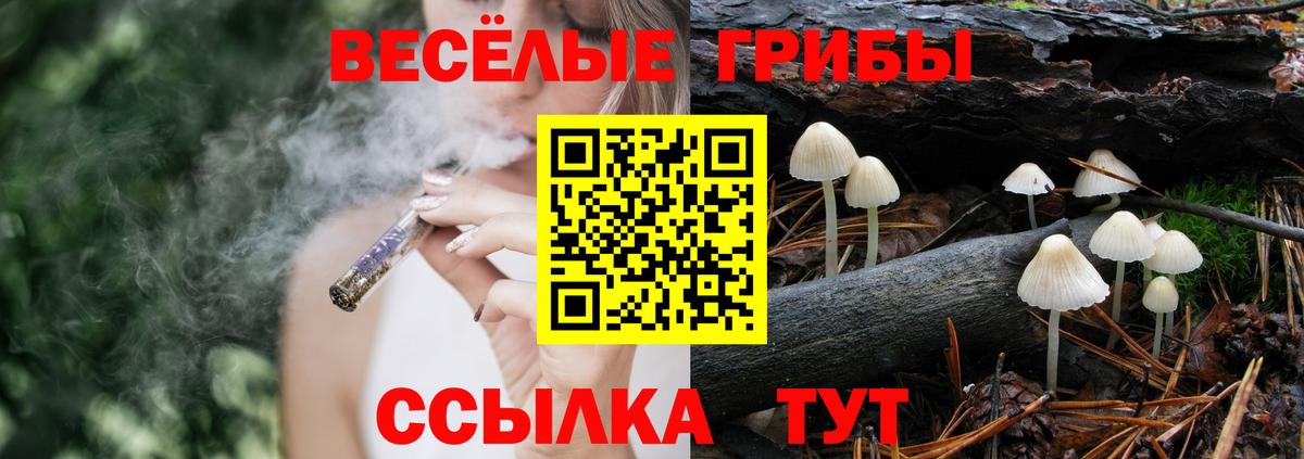 Трёхгорный  Галлюциногенные грибы прущие грибы  закладки  Вход с VPN 