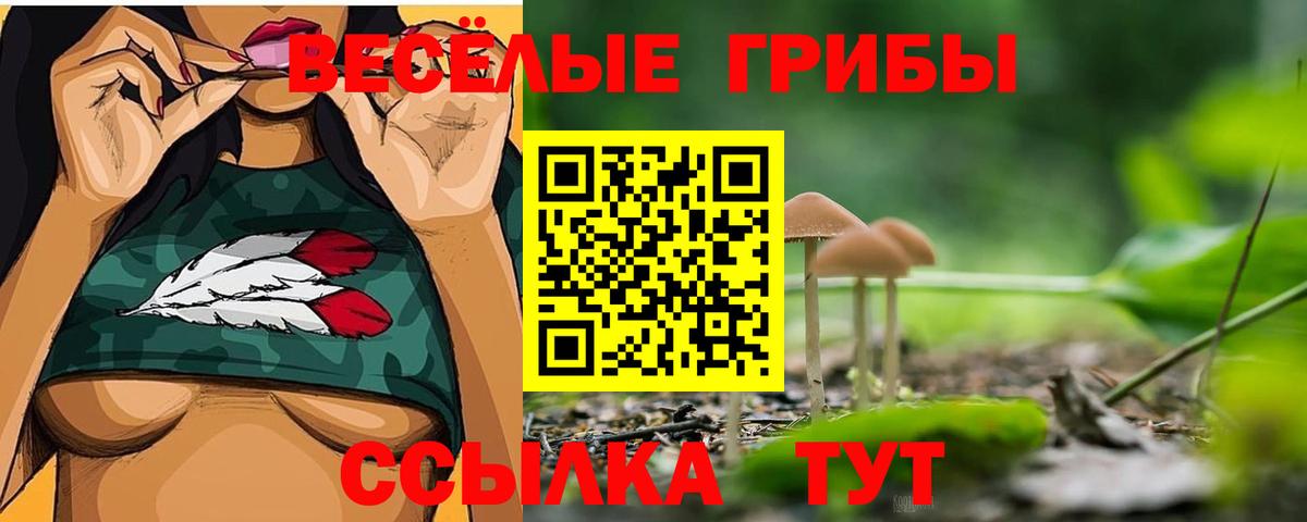 Галлюциногенные грибы Psilocybine cubensis Трёхгорный